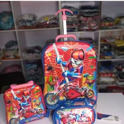 3 in 1 trolley bag